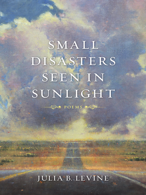 Cover image for Small Disasters Seen in Sunlight